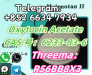 +852 66347934 Oxytocin Acetate 6233-83-6